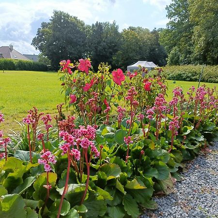 B&B Het Doctershoes Kinrooi Buitenkant foto